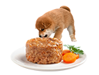 毛孩開飯啦DIY