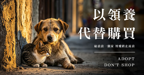給浪浪一個家