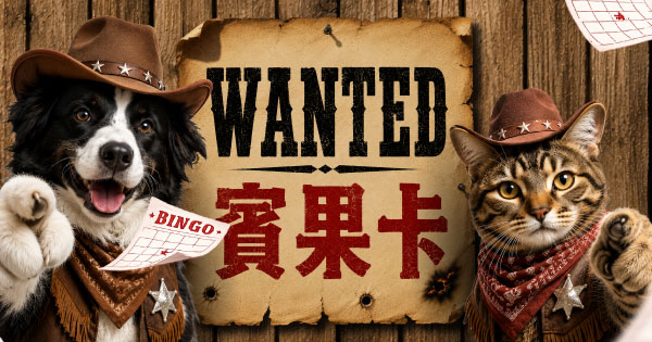 WANTED賓果卡