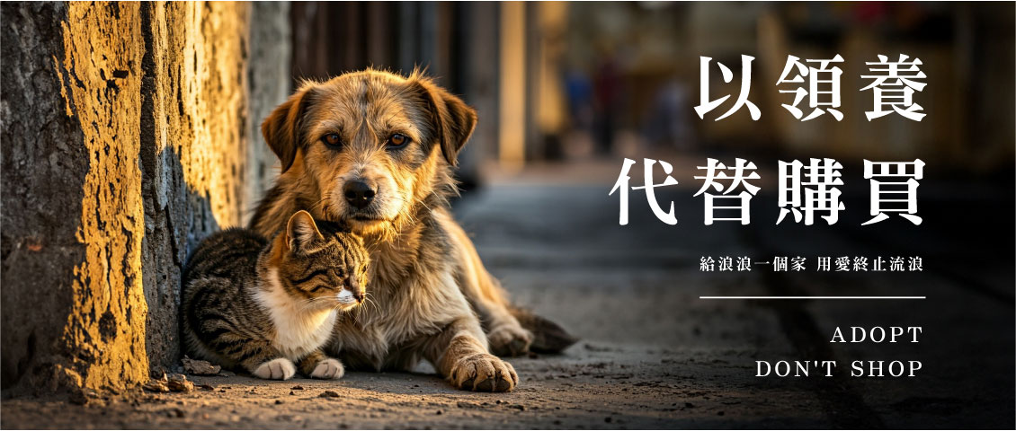 給浪浪一個家
