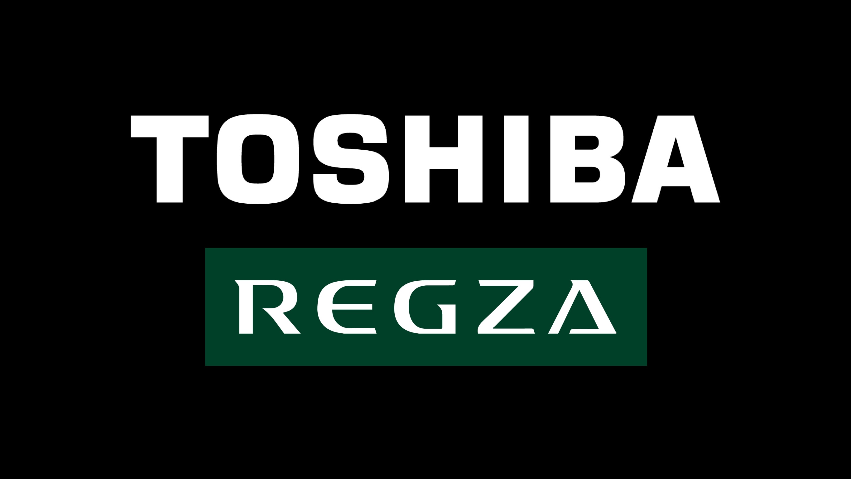 TOSHIBA REGZA