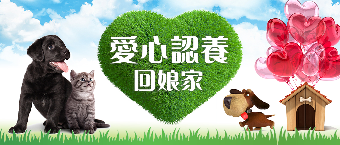 2021上聯台北國際寵物用品博覽會(春季展)暨台灣貓節