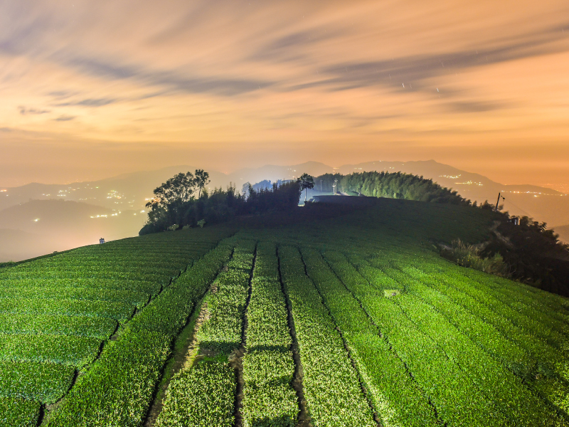 嘉義 1314景觀台