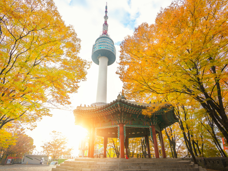 韓國中心---首爾