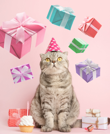 預約參觀抽大獎