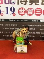 狗狗趣味賽